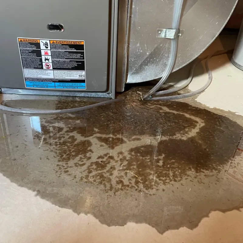 Appliance Leak Cleanup in Sunray, TX