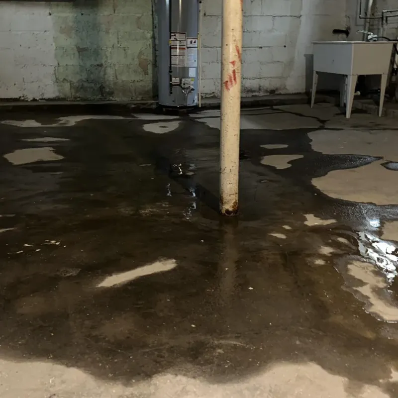 Emergency Water Extraction And Removal in Sunray, TX